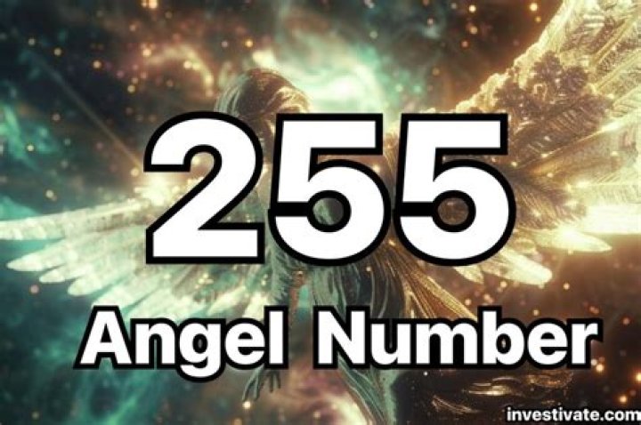 255 Angel Number Invites Light Into Your Life. Find Out Why…