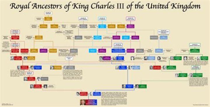 King Charles V Of France : Family tree by comrade28